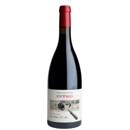 Red Wine Intro Vinhas...