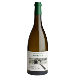 White Wine Intro Vinhas...